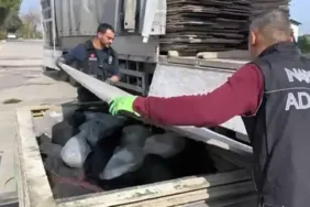 TIR'daki suntaların arasından 100 kilo esrar çıktı!