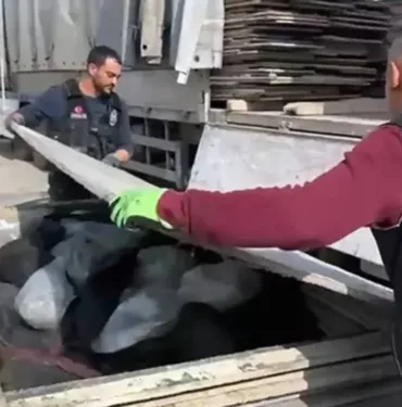 TIR'daki suntaların arasından 100 kilo esrar çıktı!