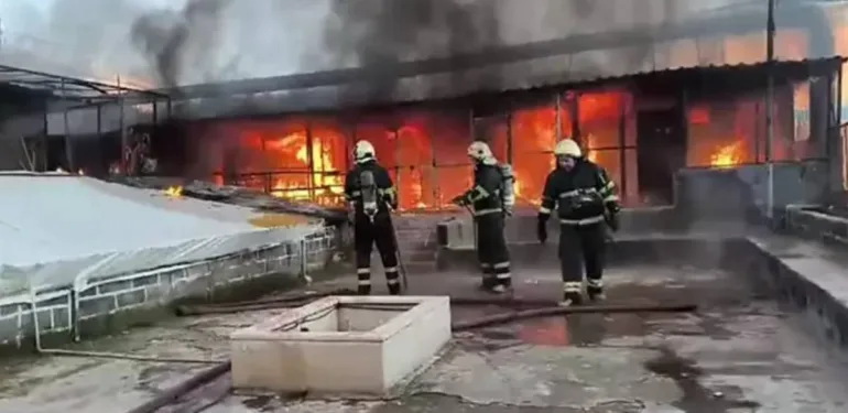 Yeni Proje