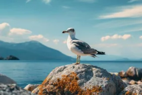 Yılın ilk leyleği Aydın'a geldi