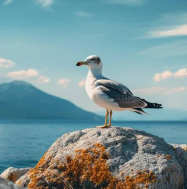 Yılın ilk leyleği Aydın'a geldi