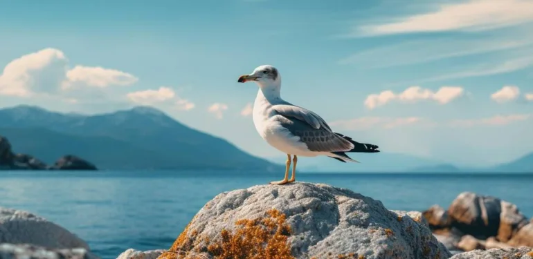 Yılın ilk leyleği Aydın'a geldi