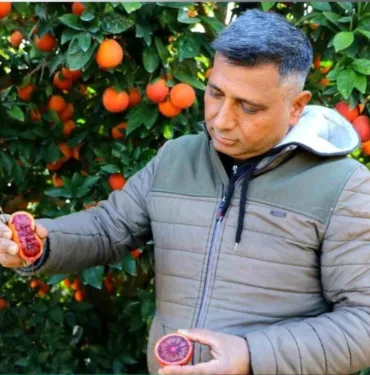 adana kan portakalı