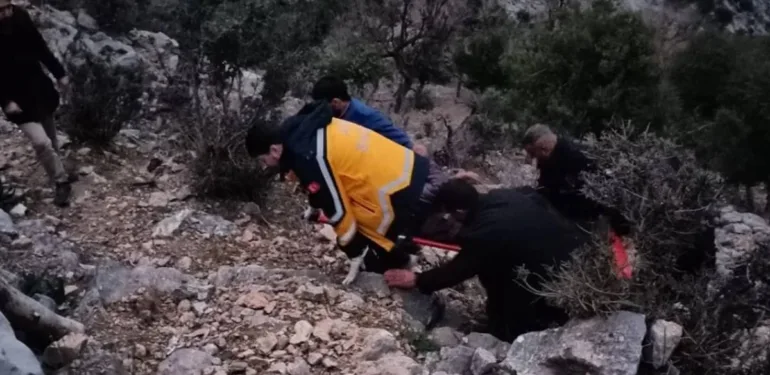 ağaç (1)