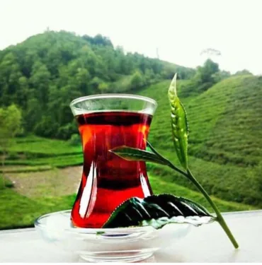 çay
