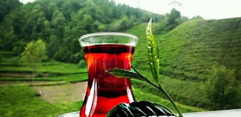 çay