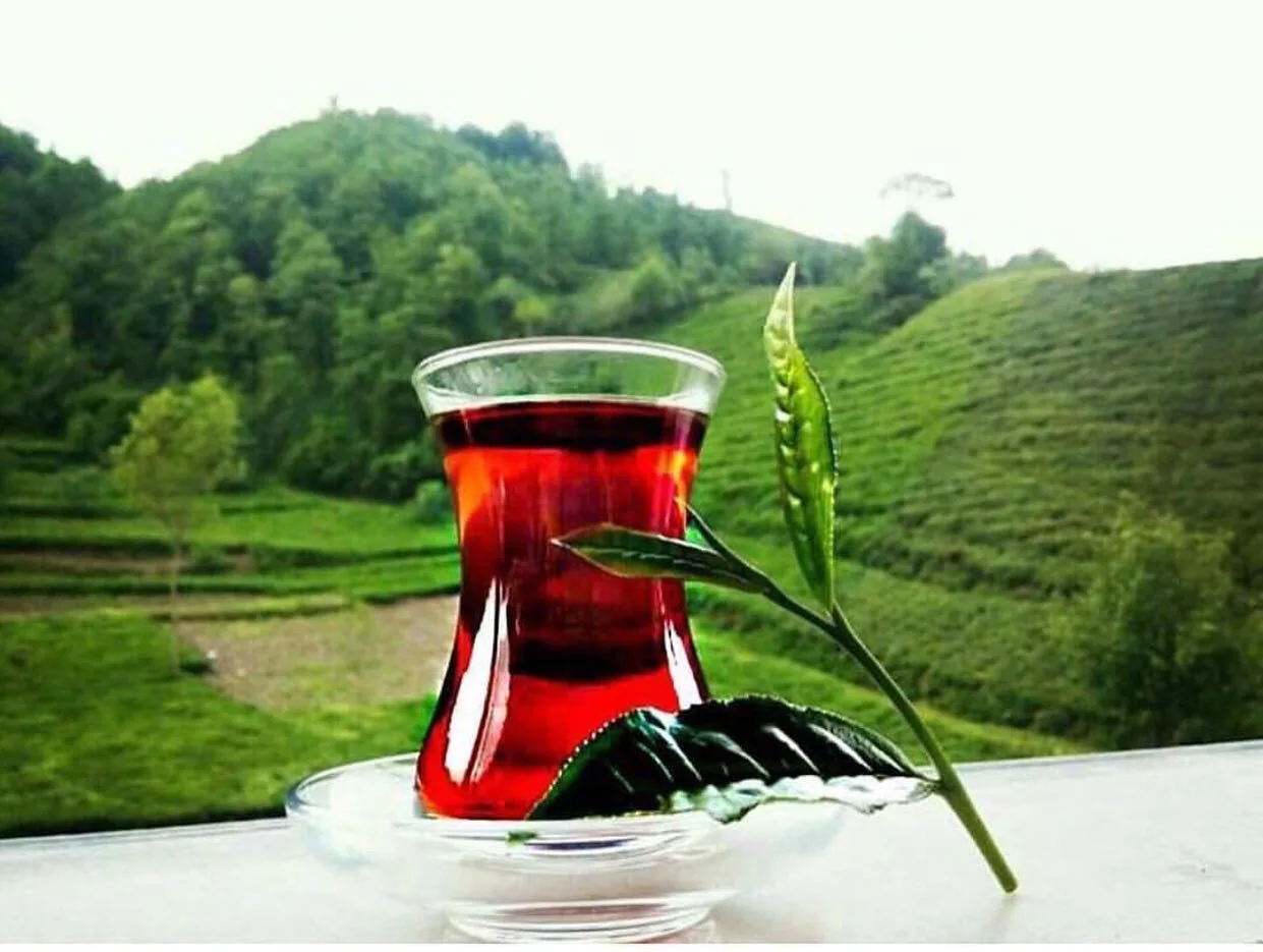 çay