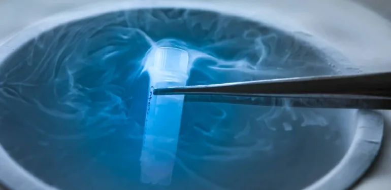 dondurulmuş embriyo