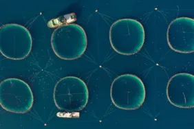 dünya balıkçılıkk sektörünün kalbi antalyada atacak