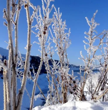 hava durumu soğuk hava