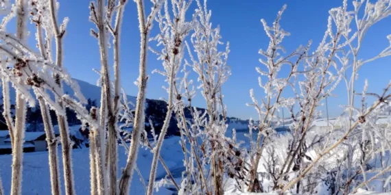 Bahar havası kısa sürdü: İstanbul’a yeniden kar geliyor