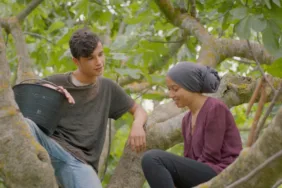 incir ağaçlarının altında filminin konusu ne