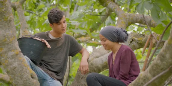 İncir Ağaçlarının Altında bugün TRT 2 ekranlarında… Filmin konusu ve oyuncuları dikkat çekiyor!