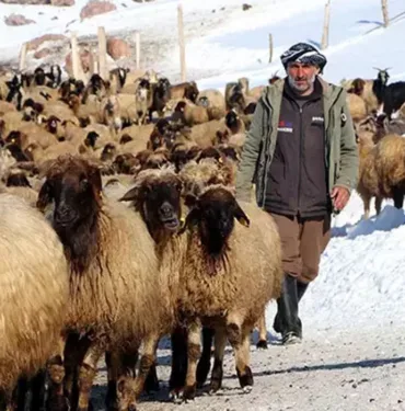norduz