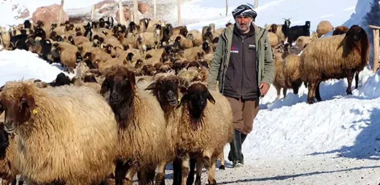 norduz