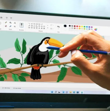 paint