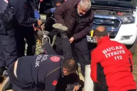 sondaj kuyusuna düşen rabia