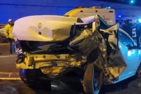 sultanbeyli'de otoyola giren köpek