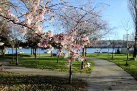 türkiyeyi sıcak bahar havaları bekliyor