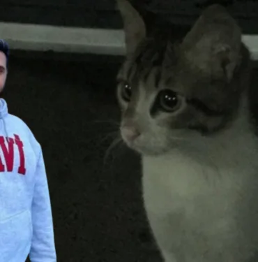 ‘Kedi katili’ İbrahim Keloğlan hakkında yeni gelişme! Yeniden yargılanacak