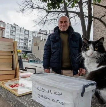 15 yıldır bağış kutusuna atılan paralarla sahipsiz kedileri besliyor 'Allah'ın bizlere emanetidir