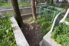 20 Yıl sonra ortaya çıkan korkunç gerçek Baba müebbet hapisle cezalandırıldı!