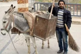 AKP'li Belediye Başkanı'nın aldığı kadrolu eşekler kayıp