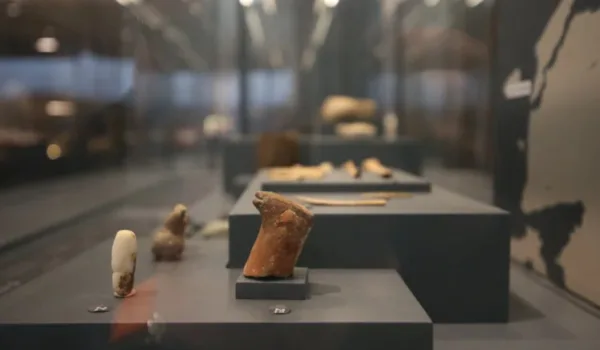 Avrupa'dan ödüllü Troya Müzesi... '700 bin ziyaretçiye ulaşabilir