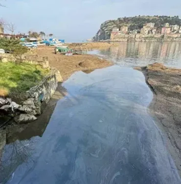Bartın'daki dere kirliliği; Askeri alanın atık suyuyla kirlenmiş...