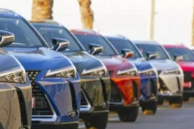 Çin markalarının Türkiye otomobil pazarındaki payı artıyor