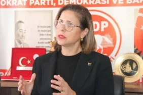 Demokrat Parti Genel Başkan Yardımcısı İlay Aksoy istifa etti