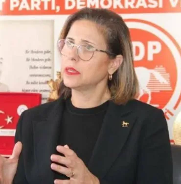 Demokrat Parti Genel Başkan Yardımcısı İlay Aksoy istifa etti