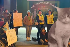 'Eros' davasındaki karar sonrası hayvanseverlerden oturma eylemi