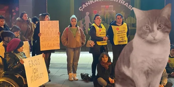 ‘Eros’ davasındaki karar sonrası hayvanseverlerden oturma eylemi!