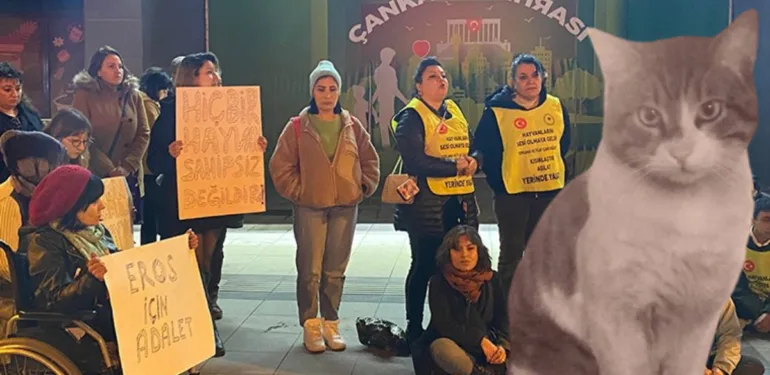 'Eros' davasındaki karar sonrası hayvanseverlerden oturma eylemi