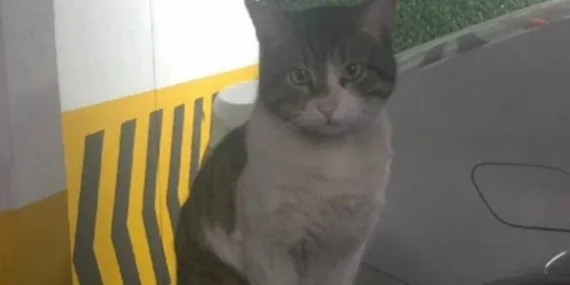 Eros’un katili İbrahim Keloğlan’ın yargılandığı davada karar çıktı