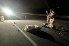 Gaziantep'te yol kenarında kadın cesedi bulundu (3)