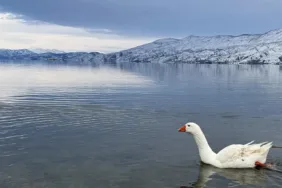 Hazarbaba Dağı ilkbaharda beyaza büründü! İşte o eşsiz manzaradan görüntüler