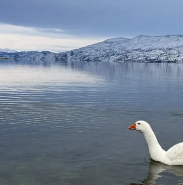 Hazarbaba Dağı ilkbaharda beyaza büründü! İşte o eşsiz manzaradan görüntüler