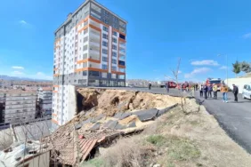 İstinat duvarı gecekondunun üzerine çöktü 3 Köpek yavrusu ve kuşlar hayatını kaybetti! (2)