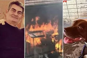 İzmir'de Pitbull Şila'nın katili için yeni karar 4 Yıl hapis Cezası!