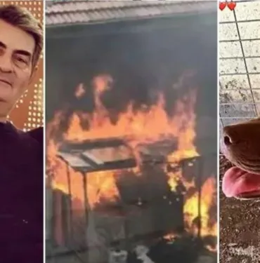 İzmir'de Pitbull Şila'nın katili için yeni karar 4 Yıl hapis Cezası!