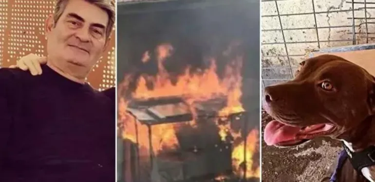 İzmir'de Pitbull Şila'nın katili için yeni karar 4 Yıl hapis Cezası!