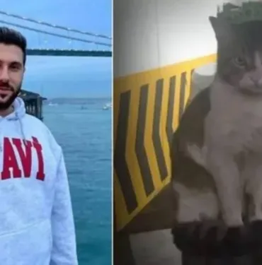 Kedi Eros'u canice katletti İndirim ve tutuklanmamasının gerekçesi açıklandı