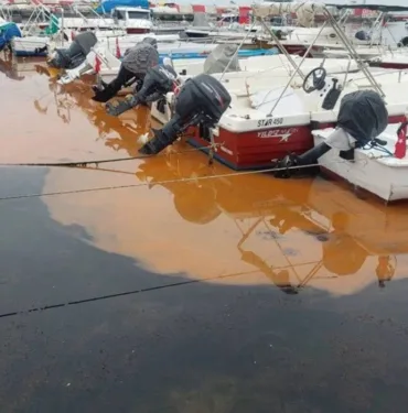 Marmara Denizi'nde endişe verici görüntüler! Renk değişimi ve denizanası istilası tehlikesi büyüyor...