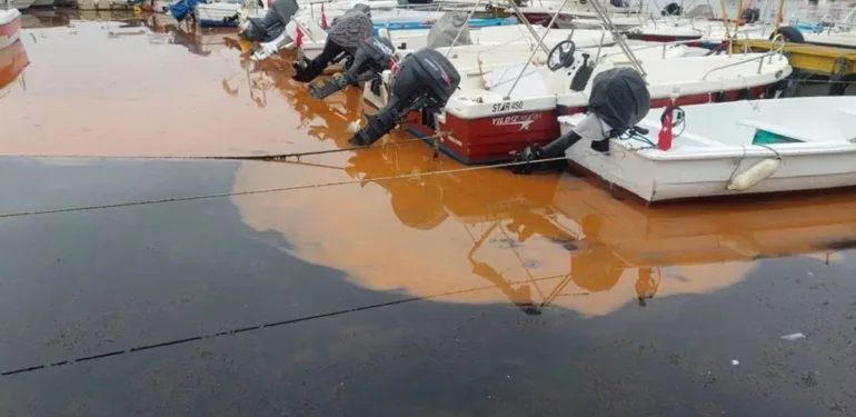 Marmara Denizi'nde endişe verici görüntüler! Renk değişimi ve denizanası istilası tehlikesi büyüyor...
