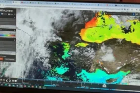 Marmara Denizi'nde tehlike Canlı yaşamı yok olabilir!