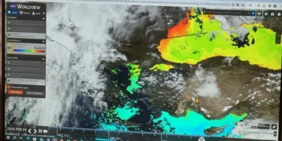 Marmara Denizi’nde tehlike: Canlı yaşamı yok olabilir!