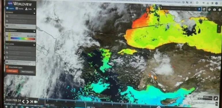 Marmara Denizi'nde tehlike Canlı yaşamı yok olabilir!