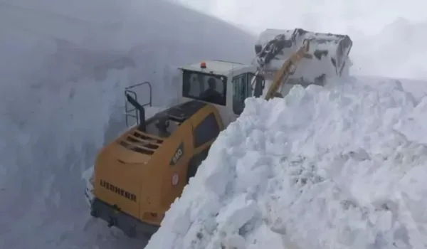 Muş'ta 4 metreyi aşan karla zorlu mücadele
